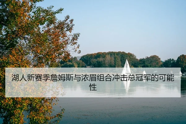 湖人新赛季詹姆斯与浓眉组合冲击总冠军的可能性